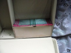 barbie ponytail 61 case view